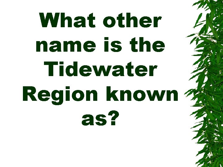 What other name is the Tidewater Region known as? 