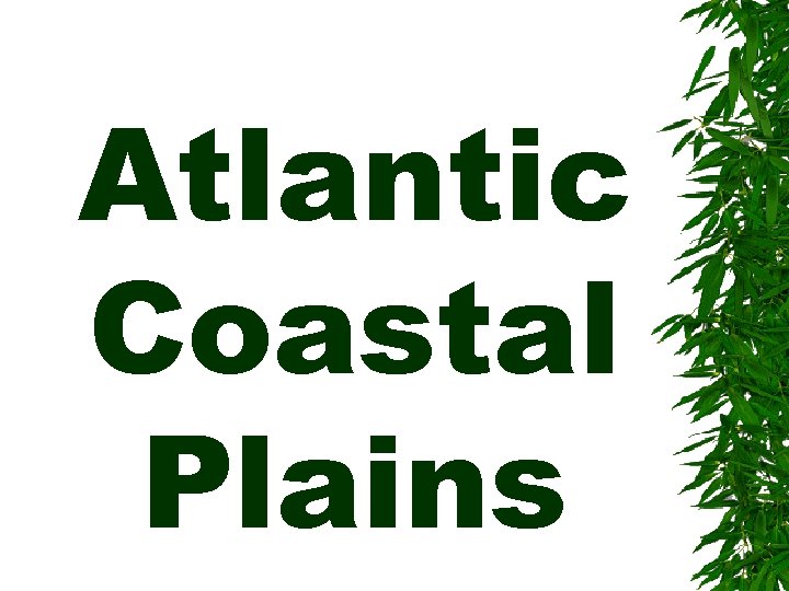 Atlantic Coastal Plains 