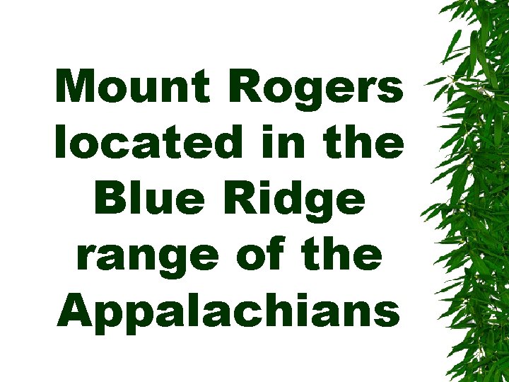 Mount Rogers located in the Blue Ridge range of the Appalachians 