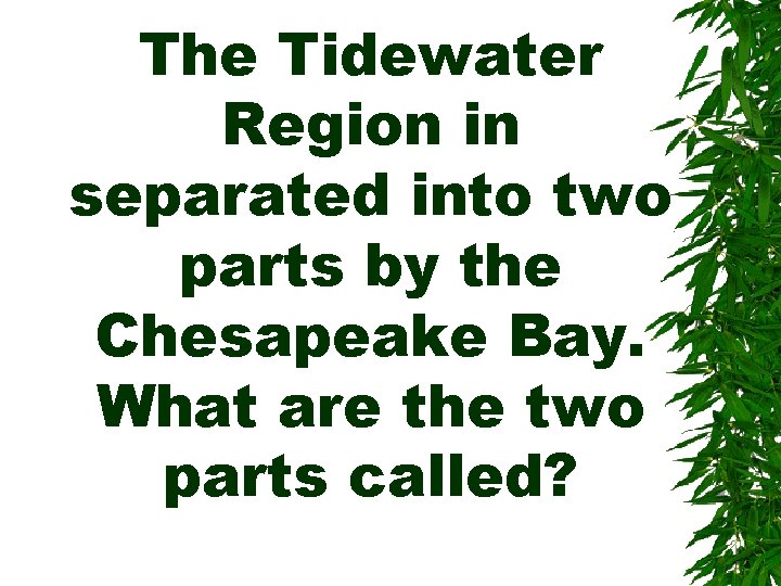 The Tidewater Region in separated into two parts by the Chesapeake Bay. What are