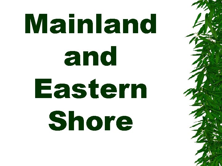 Mainland Eastern Shore 