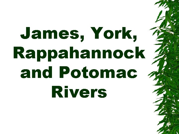 James, York, Rappahannock and Potomac Rivers 