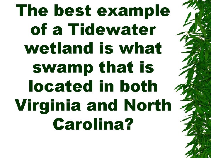 The best example of a Tidewater wetland is what swamp that is located in