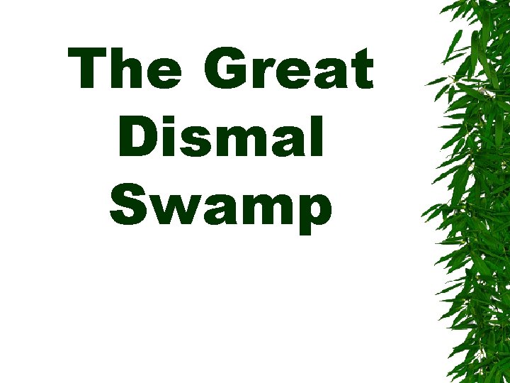 The Great Dismal Swamp 