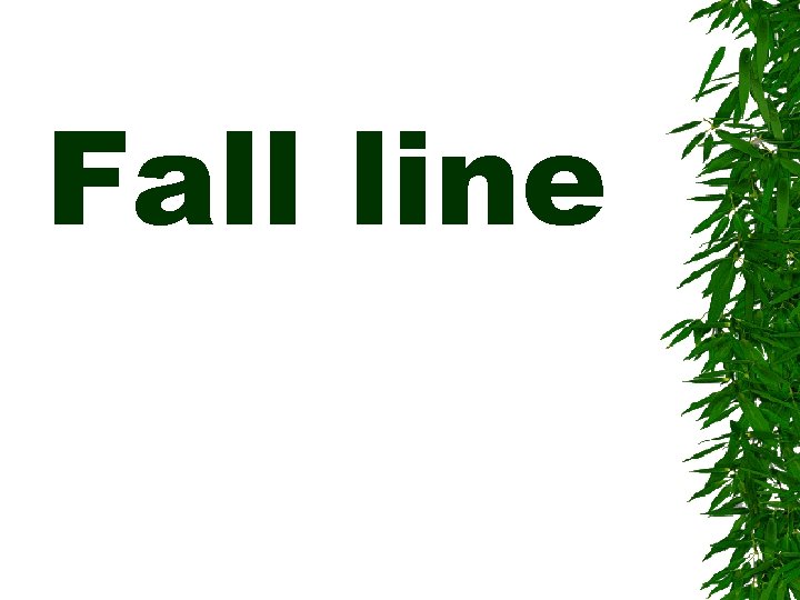 Fall line 