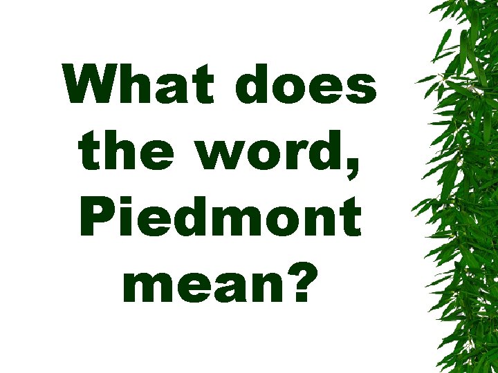 What does the word, Piedmont mean? 