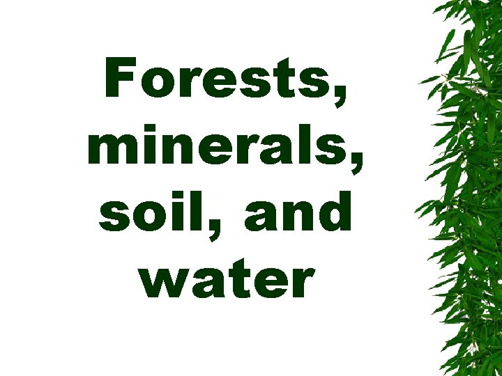 Forests, minerals, soil, and water 