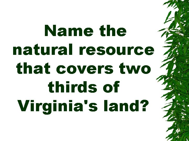 Name the natural resource that covers two thirds of Virginia's land? 