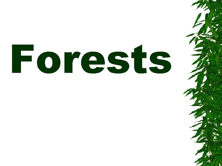 Forests 