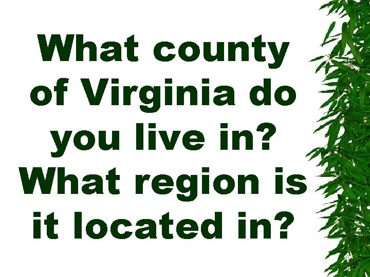 What county of Virginia do you live in? What region is it located in?