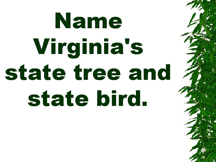 Name Virginia's state tree and state bird. 