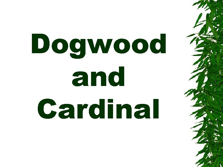 Dogwood and Cardinal 