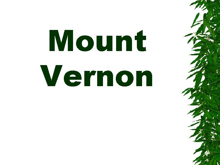Mount Vernon 