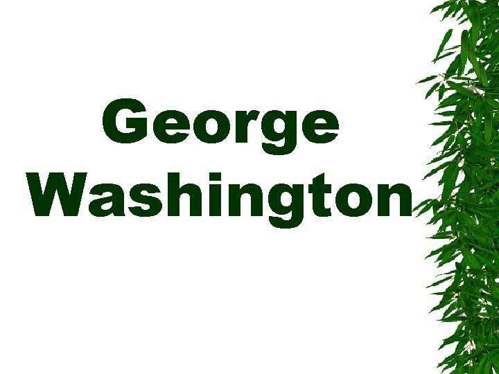 George Washington 