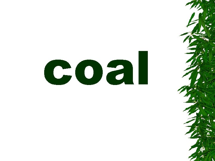 coal 