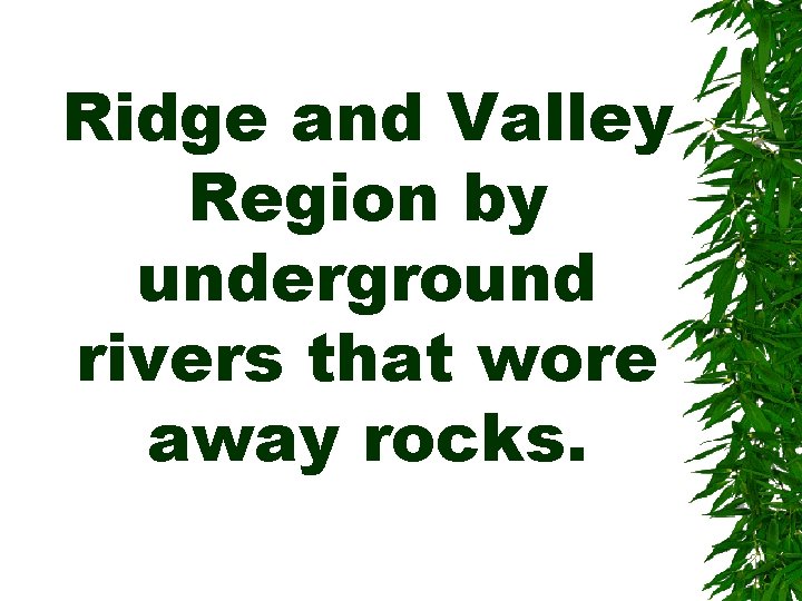 Ridge and Valley Region by underground rivers that wore away rocks. 