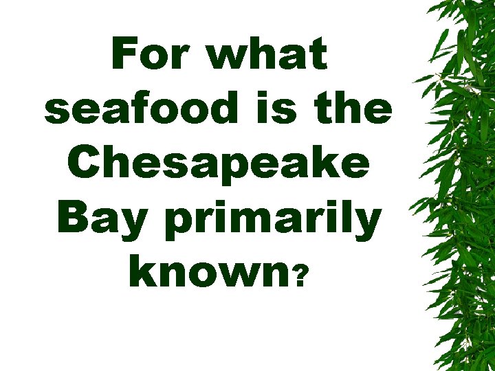 For what seafood is the Chesapeake Bay primarily known? 