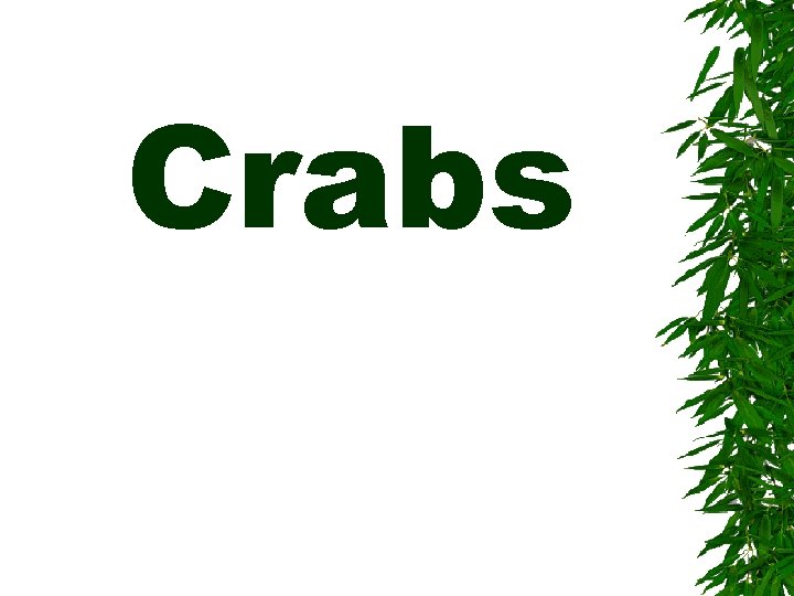 Crabs 