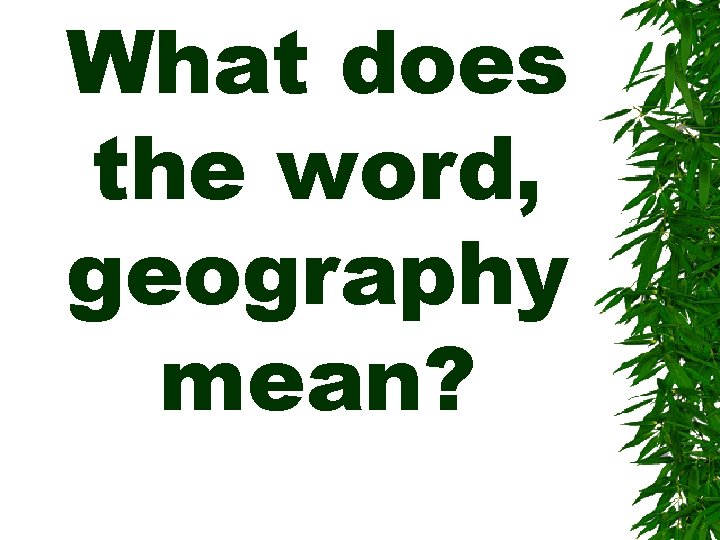 What does the word, geography mean? 