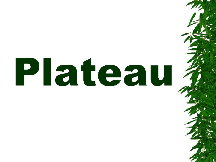 Plateau 