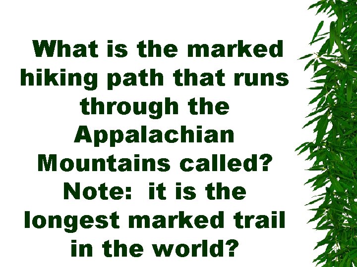 What is the marked hiking path that runs through the Appalachian Mountains called? Note: