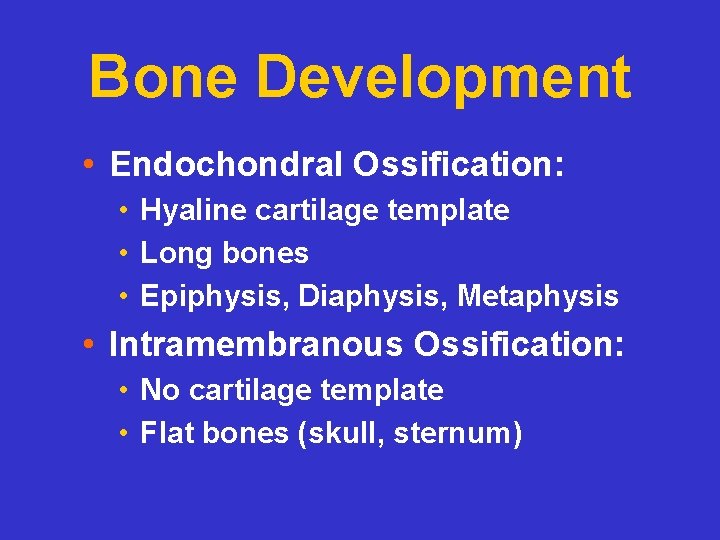 Bone Development • Endochondral Ossification: • Hyaline cartilage template • Long bones • Epiphysis,