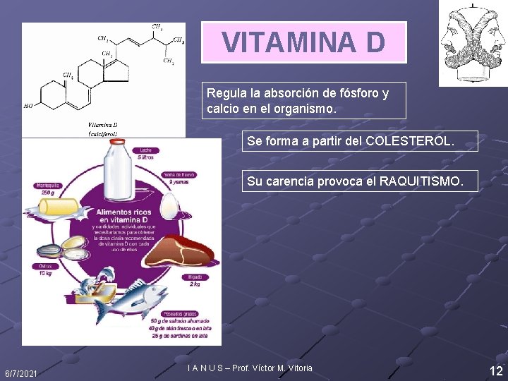 VITAMINA D Regula la absorción de fósforo y calcio en el organismo. Se forma