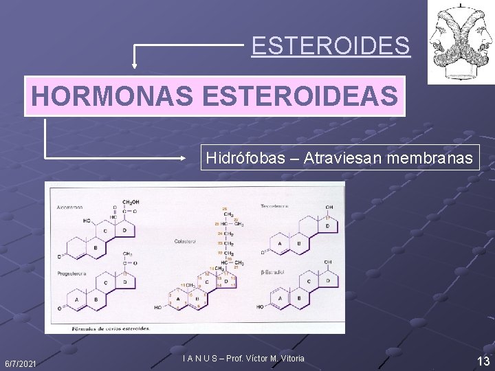 ESTEROIDES HORMONAS ESTEROIDEAS Hidrófobas – Atraviesan membranas 6/7/2021 I A N U S –