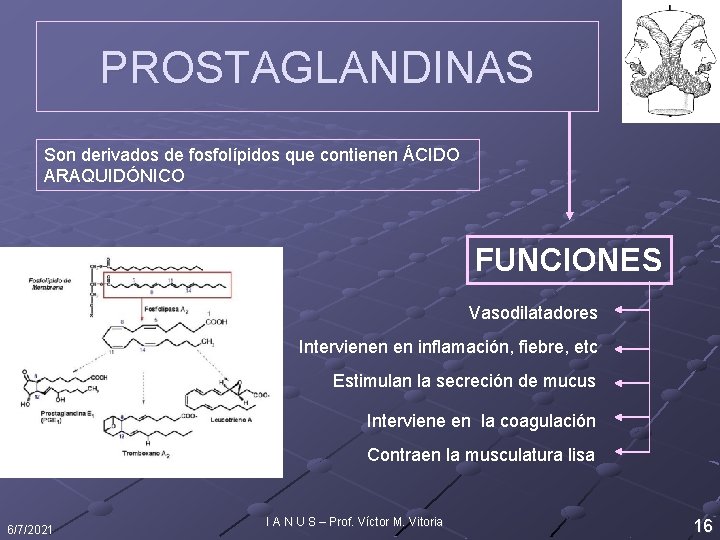 PROSTAGLANDINAS Son derivados de fosfolípidos que contienen ÁCIDO ARAQUIDÓNICO FUNCIONES Vasodilatadores Intervienen en inflamación,