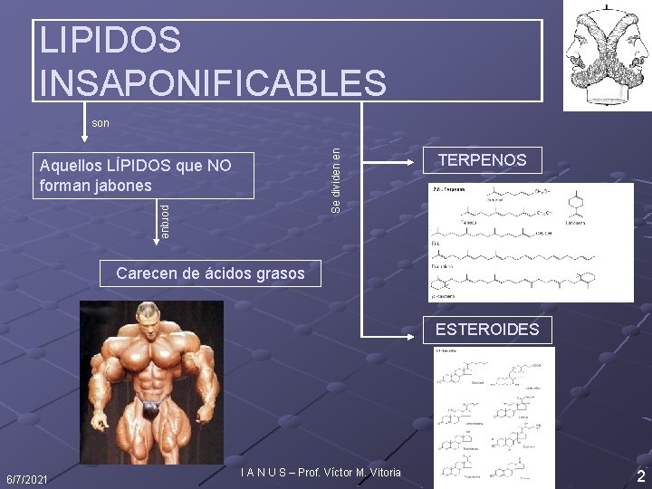 LIPIDOS INSAPONIFICABLES Se dividen en son Aquellos LÍPIDOS que NO forman jabones TERPENOS porque