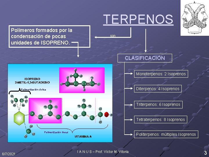 TERPENOS Polímeros formados por la condensación de pocas unidades de ISOPRENO. son CLASIFICACIÓN Monoterpenos: