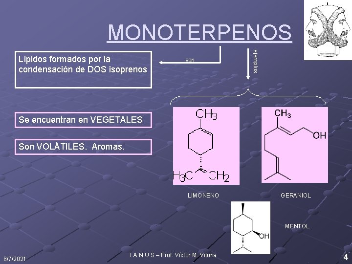 MONOTERPENOS son ejemplos Lípidos formados por la condensación de DOS isoprenos Se encuentran en