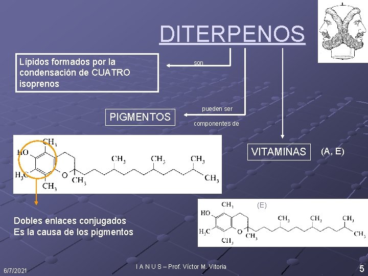 DITERPENOS Lípidos formados por la condensación de CUATRO isoprenos son PIGMENTOS pueden ser componentes
