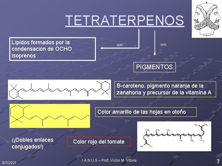 TETRATERPENOS Lípidos formados por la condensación de OCHO isoprenos son PIGMENTOS B-caroteno, pigmento naranja