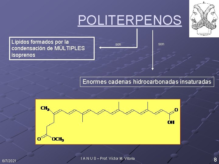 POLITERPENOS Lípidos formados por la condensación de MÚLTIPLES isoprenos son Enormes cadenas hidrocarbonadas insaturadas