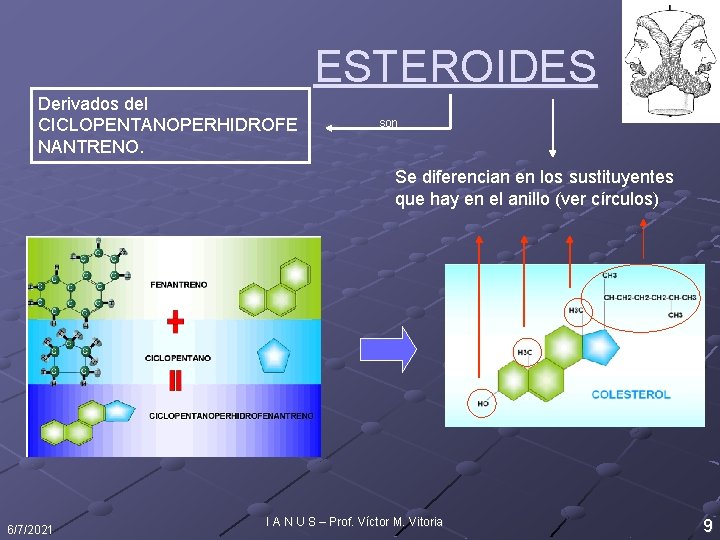 ESTEROIDES Derivados del CICLOPENTANOPERHIDROFE NANTRENO. son Se diferencian en los sustituyentes que hay en