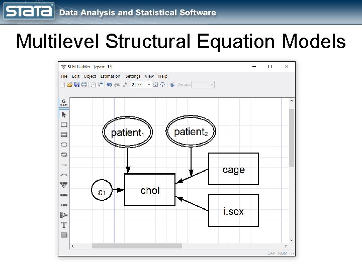Multilevel Structural Equation Models 