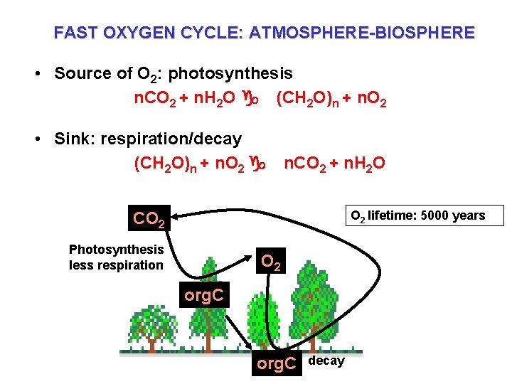 FAST OXYGEN CYCLE: ATMOSPHERE-BIOSPHERE • Source of O 2: photosynthesis n. CO 2 +