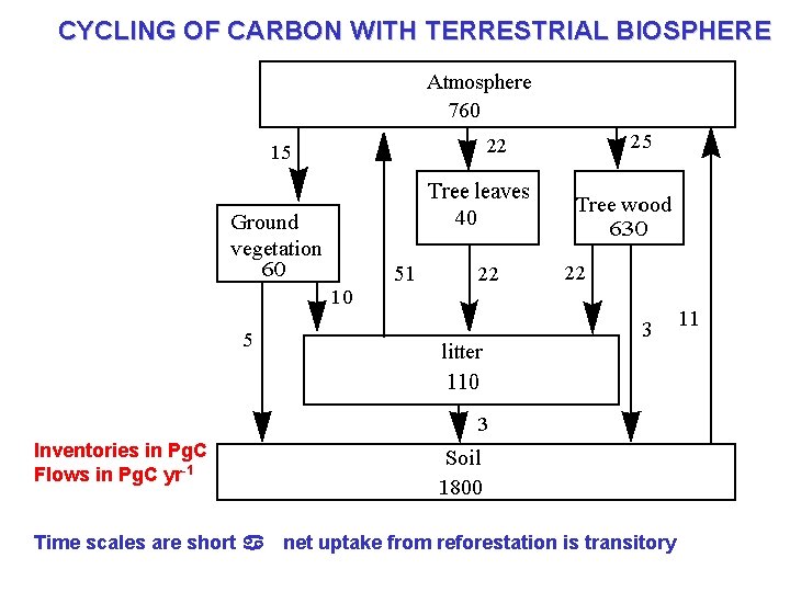 CYCLING OF CARBON WITH TERRESTRIAL BIOSPHERE Inventories in Pg. C Flows in Pg. C