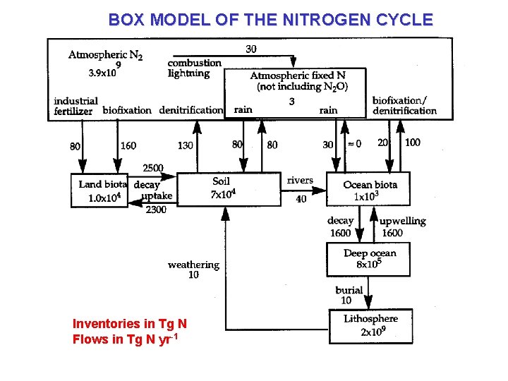 BOX MODEL OF THE NITROGEN CYCLE Inventories in Tg N Flows in Tg N