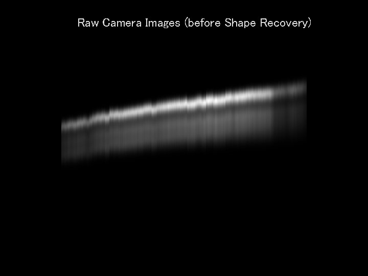 Raw Camera Images (before Shape Recovery) 