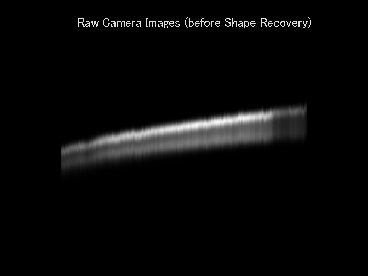 Raw Camera Images (before Shape Recovery) 