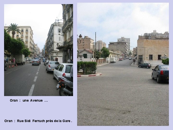 Oran : une Avenue … Oran : Rue Sidi Ferruch près de la Gare.