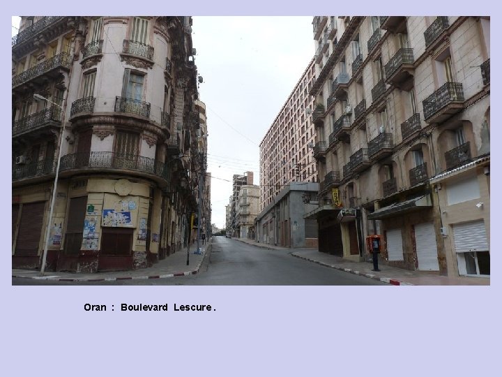 Oran : Boulevard Lescure. 