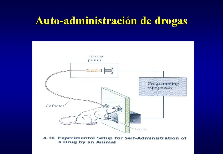 Auto-administración de drogas 