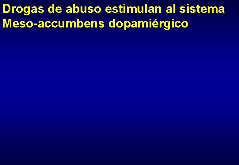 Drogas de abuso estimulan al sistema Meso-accumbens dopamiérgico 