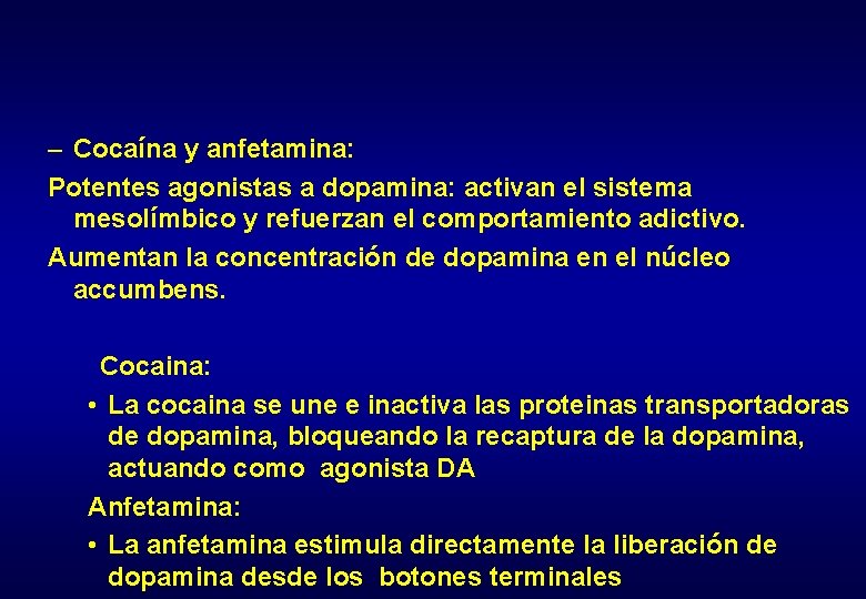 – Cocaína y anfetamina: Potentes agonistas a dopamina: activan el sistema mesolímbico y refuerzan