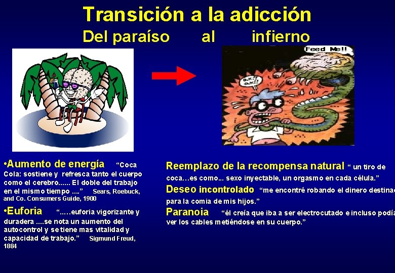 Transición a la adicción Del paraíso • Aumento de energía al infierno “Coca Cola: