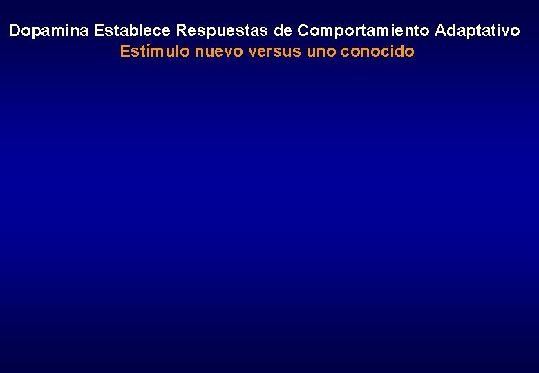 Dopamina Establece Respuestas de Comportamiento Adaptativo Estímulo nuevo versus uno conocido 