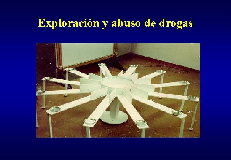 Exploración y abuso de drogas 